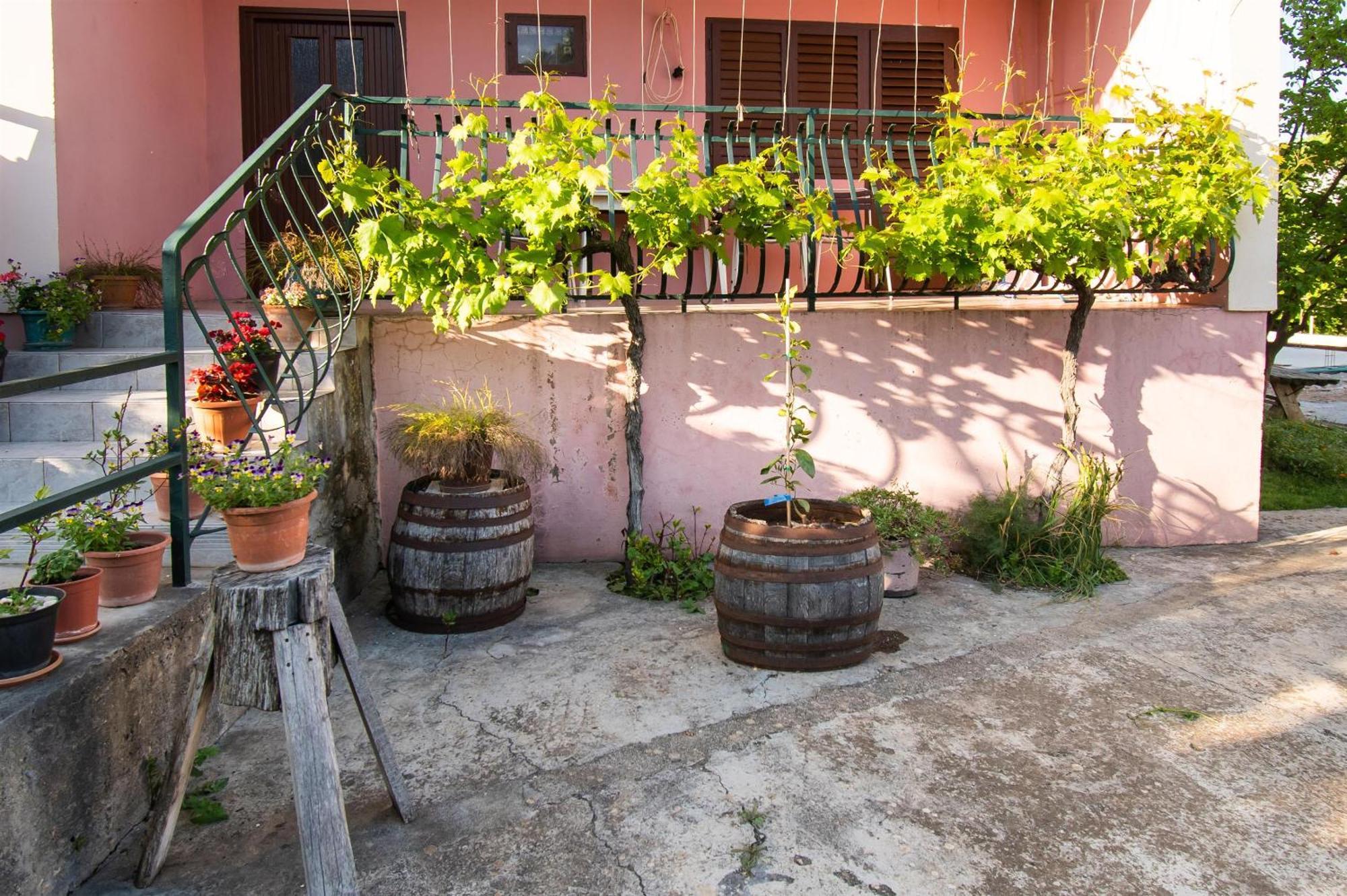 Apartments Green Garden فوديس المظهر الخارجي الصورة